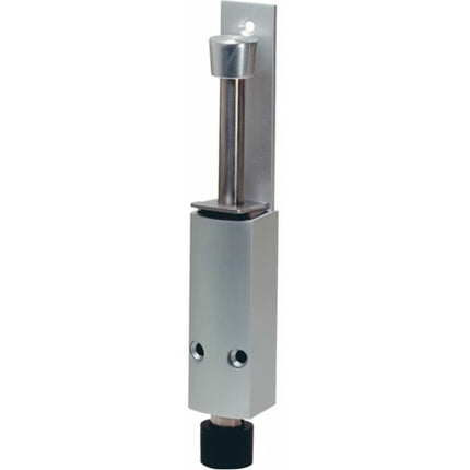 Porta KWS 1224.02 Alluminio laccato argento ( 3000258168 )