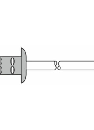 GESIPA rivetto cieco PolyGrip(R) gambo del rivetto d x l 3,2 x 11 mm ( 4000813758 )