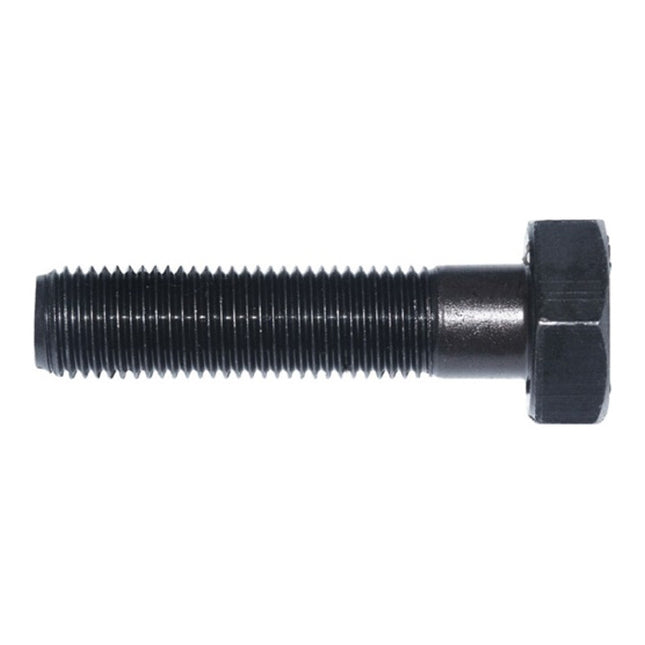 ALFRA lag screw length 50 mm Ø 9.5 mm ( 4000814261 )