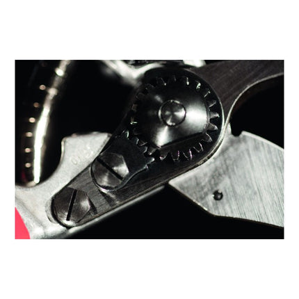 FELCO forbici da potatura FELCO 5 Lunghezza totale 225 mm ( 4000815625 )