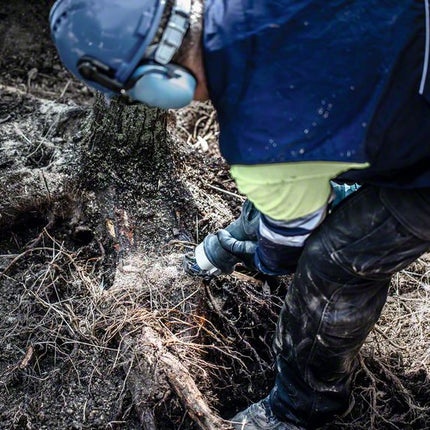 Hoja de sierra de sable BOSCH Expert Tough Wood longitud 225 mm ancho 25 mm (4000837496)