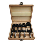 FISCH-TOOLS Set di frese a disco da 5 pezzi ( 4000863229 )