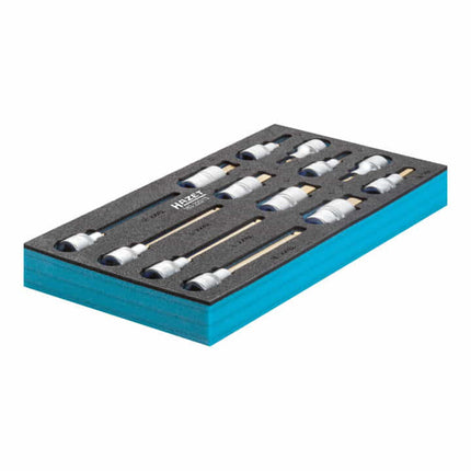 Módulo de herramientas HAZET 163-220/13 de 13 piezas ( 4000871198 )