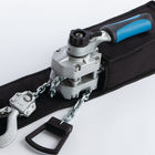 Paranco a leva PLANETA PAH 250 Portata 250 kg Altezza di sollevamento 1,5 m ( 9113450240 )