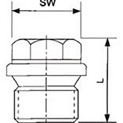 Tornillo de cierre Springer DIN 910 ISO 228-1 ( 4000000267 ) NPS=1/4 ″ L 21 mm