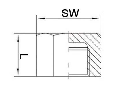 Springer Kappe EN 10226-1 ( 4000000280 ) NPS=1 ″ L 22 mm