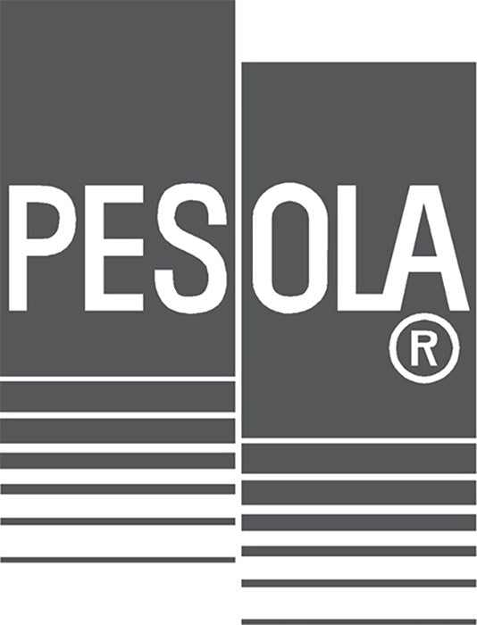 Wytrzymała waga wisząca Pesola ( 4000850038 ) 100 kg