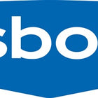 osborn Düsenbürste ( 4000841287 ) Länge 300 mm Ø 20 mm Besatzlänge 100 mm mit Öse