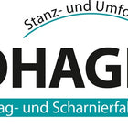 Hohage crate hinge ( 3000256186 ) W.open300 mm blue chromatised French