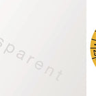 Adesivo di controllo pluriennale ( 9000477099 ) L25xL60 mm in foglio di alluminio