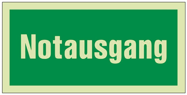 Señal de salvamento BGV A8 ( 3000277454 ) L297xA148 mm plástico