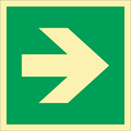 Segnale di fuga ASR A1.3/DIN EN ISO 7010/DIN 67510 ( 9000477474 ) L148xL148 mm plastica