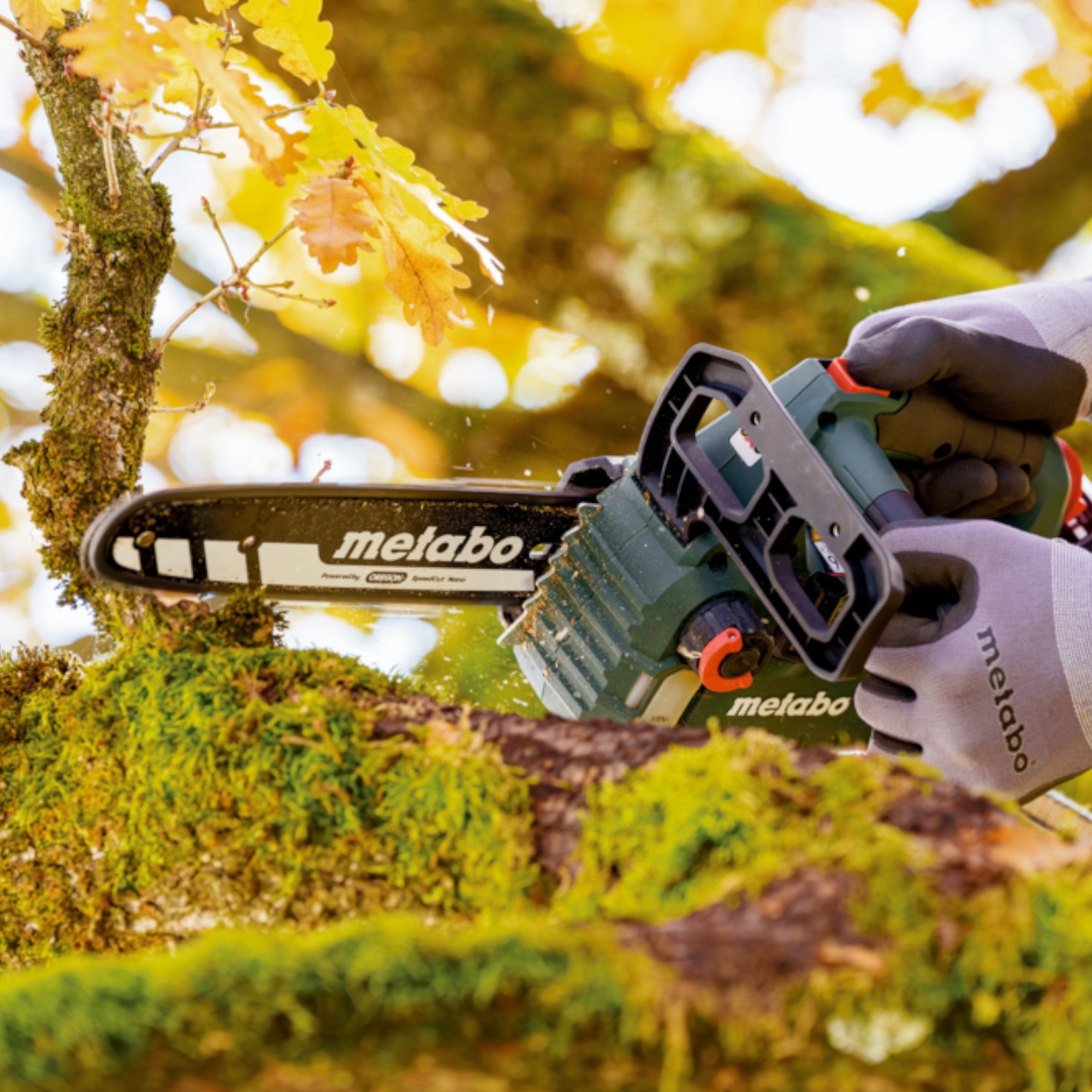 Metabo MS 18 LTX BL 25 Akku Kettensaege 18 V 25 cm Brushless 2x LiHD Akku 5 5 Ah Ladegeraet 4 - toolbrothers