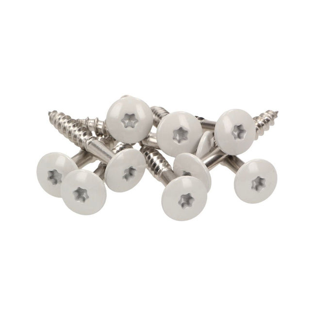 Meisterling Fassadenschrauben 5,5x35 mm 100 Stück ( 010030000121 ) 12 mm Flachkopf hellgrau mit Torx Teilgewinde V4A Edelstahl