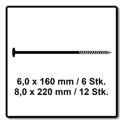 SPAX Camping Set de vis pour tente 6 x 160 mm et 8 x 220 mm WIROX (4000009100019)