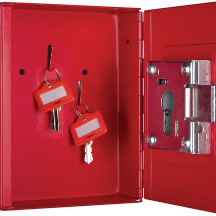 FORMAT Schlüsselbox NS 2 PHZ H150xB120xT34 mm ( 3000291842 )