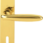 HOPPE set di piastre lunghe Verona M151/302 ottone F71 ( 3000252651 )