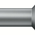 WERA Embout 867/1 TZ 1/4 po. T 15 longueur 25 mm ( 4000829421 )