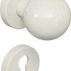 HEWI Escutcheon set 111R03.133 Plastic 99 ( 3000205065 )